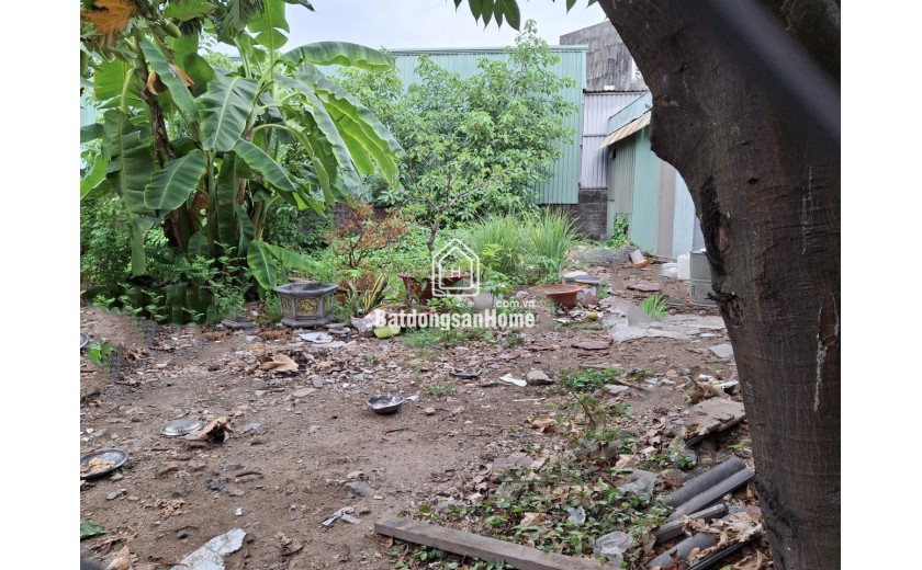 Đất vuông 189m², Đ.4m – Gò Dưa TĐ 4.x tỷ